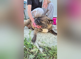Chata, wartet auf ihre Familie