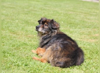 FRODO sucht ein Zuhause