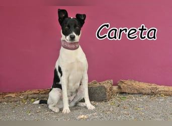 Wollen Sie Careta glücklich machen?