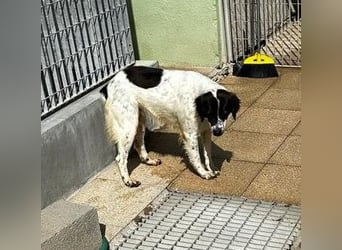 Elisabetta - wann beginnt endlich auch mein Leben