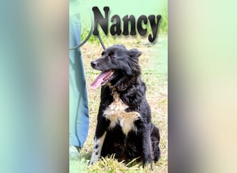 Nancy – ein liebes Mädchen
