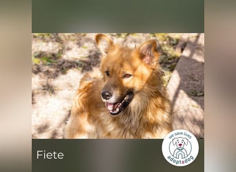 Fiete: Verwandlung durch Verständnis
