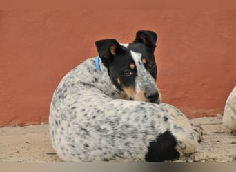 Sorgen Sie mit Joop für einen Tapetenwechsel?