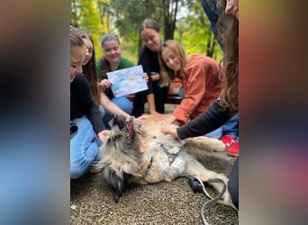 Tolle Bonnie möchte eine liebe Familie
