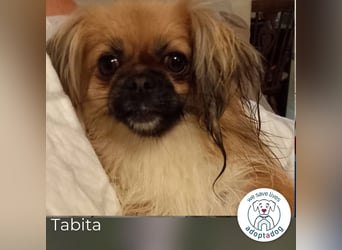Tabita: Fröhliche kleine Kämpferin