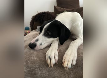 Josie möchte jetzt auch endlich ankommen