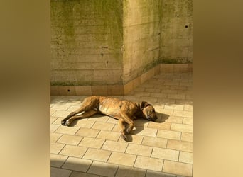 Familie gesucht