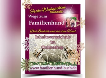 Vor und mit dem Welpen, Junghund, erwachsenen Hund: Das Buch Wege zum Familienhund