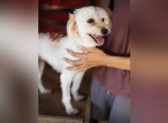Ginny ein tapferes Mädchen