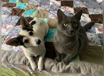 Mara und Max wünschen sich ein neues Zuhause
