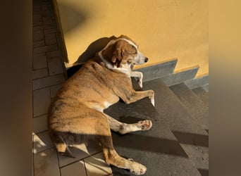 Lea - liebenswürdiges Mädchen sucht sicheren Hafen