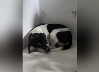 Benny sehnt sich nach Liebe und Geborgenheit