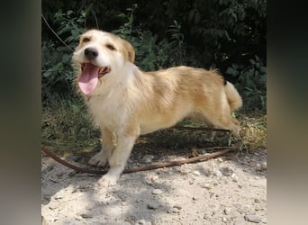 Chia ein besonderes Mädchen