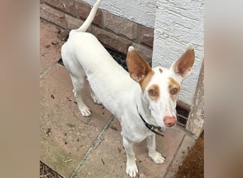 Barbi, sucht dringend einen neuen Platz