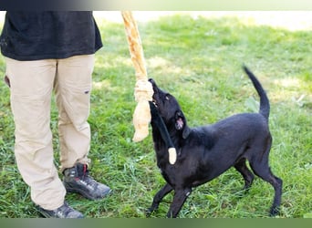 Gonza – Bewegungs-Fan sucht Nähe