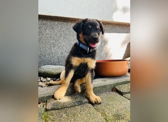 Jakob möchte sich ins Herz schleichen