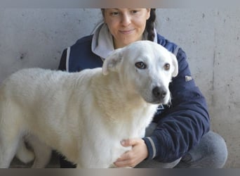 Dafnielle - Zukunft gesucht