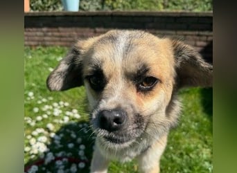 Unsere bezaubernde Polly sucht ihre Familie