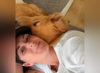 Buffy braucht ein fröhliches Zuhause