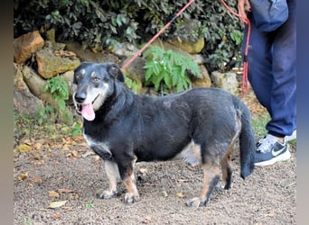 Fonzy- Unikat sucht ebensolches - und Liebe!