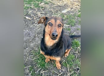 Frida, 10.05.2019 geboren, 31 cm sucht ihre Menschen