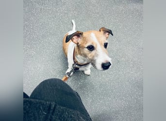 Charlie - ist umgänglich