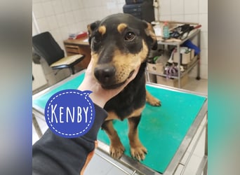 Kenby ein fröhlicher freundlicher Bub