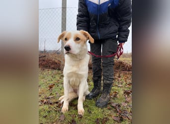 Falina sucht ein Zuhause