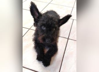 Update Lara: reserviert
