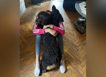 Ruška eine absolut liebenswerte Hündin