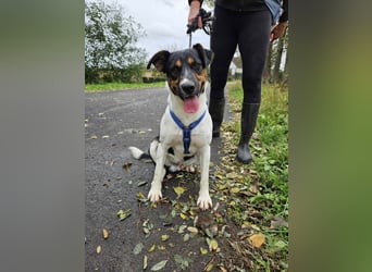 Bark - liebt die Menschen
