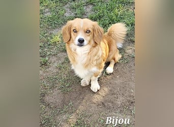 Hübsche Bijou freut sich auf Deinen Besuch