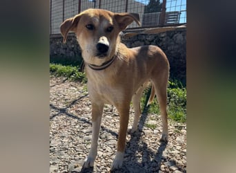 Zara ❤️ will endlich Liebe+Nähe spüren