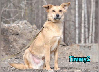 Timmy2 geb. 03/2023 - verspielter, aktiver und fröhlicher junger Rüde!