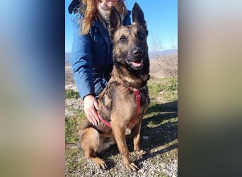 Lio - Best Buddy gesucht!