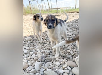 Zuckersüße und charmante JULIANA ist verspielt und neugierig