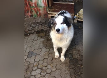 Hero: Braucht einen Superhelden