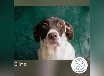 Elina: Zarte Sanftheit