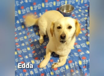 Kleine Edda mit dem Welpengesicht PS 49143 Bissendorf