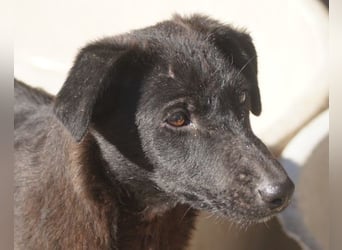 LILIA❤️ tapsiges, sehr kluges Kuschelkind voller Freude und Liebe