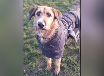 Winston wartet auf seine zweite Chance