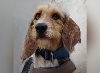 Elly - HAT  INTERESSENTEN- vorsictige Prinzessin sucht ihre erfahrenen Menschen mit Geduld und Liebe