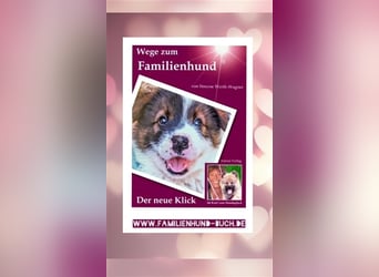 Welpe, Hund, Mischling, Rasse - Erziehung zum Familienhund - einfach gemacht