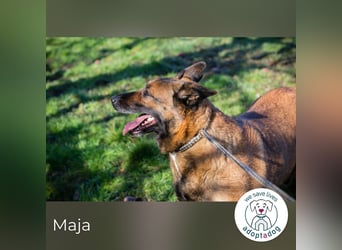 Maja: genießt ihre neue Freiheit