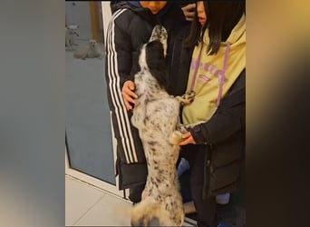 Sara – Zarte Seele sucht leises Glück
