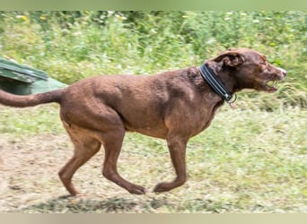 Pablo – fit trotz Handicap