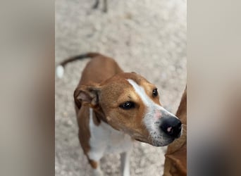 Marley, freundlich und sozial