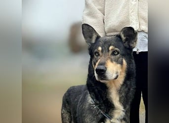 LOBITO