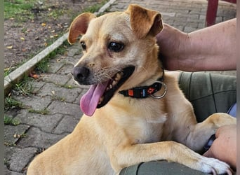 Winnie Piccolo: kleiner Charmeur sucht Dich