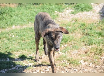 Jette sucht Geborgenheit und Vertrauen